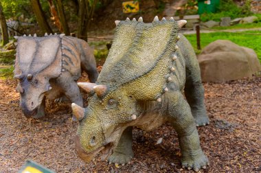 Bratislava, Slovakya - 28 Eylül 2016: Bratislava, Slovakya'nın popüler turistik yerlerinden biri olan Dinopark'taki Chasmosaurus.