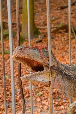 Bratislava, Slovakya - 28 Eylül 2016: Bratislava, Slovakya'nın popüler turistik yerlerinden biri olan Dinopark'taki Velociraptor.