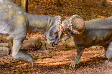 Bratislava, Slovakya - 28 Eylül 2016: Bratislava, Slovakya'nın popüler turistik yerlerinden biri olan Dinopark'ta Pachycephalosaurus.