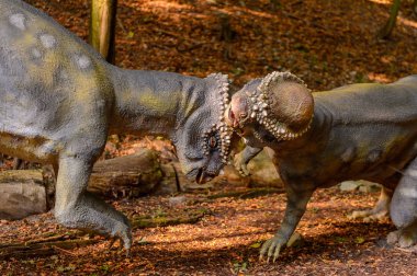 Bratislava, Slovakya - 28 Eylül 2016: Bratislava, Slovakya'nın popüler turistik yerlerinden biri olan Dinopark'ta Pachycephalosaurus.