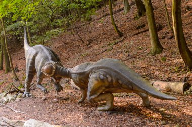 Bratislava, Slovakya - 28 Eylül 2016: Bratislava, Slovakya'nın popüler turistik yerlerinden biri olan Dinopark'ta Pachycephalosaurus.
