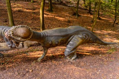 Bratislava, Slovakya - 28 Eylül 2016: Bratislava, Slovakya'nın popüler turistik yerlerinden biri olan Dinopark'ta Pachycephalosaurus.