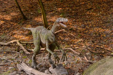 Bratislava, Slovakya - 28 Eylül 2016: Bratislava, Slovakya'nın popüler turistik yerlerinden biri olan Dinopark'ta Velociraptor.