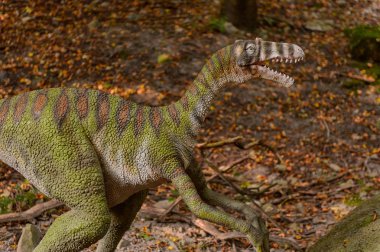 Bratislava, Slovakya - 28 Eylül 2016: Bratislava, Slovakya'nın popüler turistik yerlerinden biri olan Dinopark'ta Velociraptor.