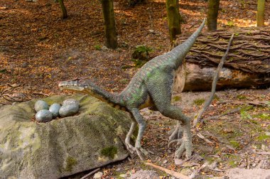 Bratislava, Slovakya - 28 Eylül 2016: Bratislava, Slovakya'nın popüler turistik yerlerinden biri olan Dinopark'ta Velociraptor.