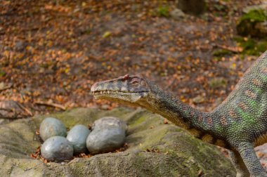 Bratislava, Slovakya - 28 Eylül 2016: Bratislava, Slovakya'nın popüler turistik yerlerinden biri olan Dinopark'ta Velociraptor.