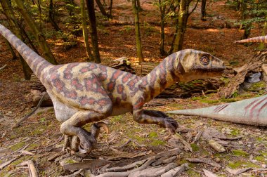Bratislava, Slovakya - 28 Eylül 2016: Bratislava, Slovakya'nın popüler turistik yerlerinden biri olan Dinopark'ta Velociraptor.
