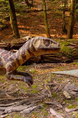 Bratislava, Slovakya - 28 Eylül 2016: Bratislava, Slovakya'nın popüler turistik yerlerinden biri olan Dinopark'ta Velociraptor.