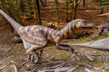 Bratislava, Slovakya - 28 Eylül 2016: Bratislava, Slovakya'nın popüler turistik yerlerinden biri olan Dinopark'ta Velociraptor.