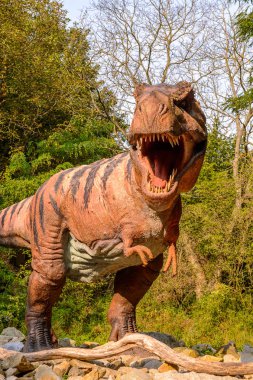 Bratislava, Slovakya - 28 Eylül 2016: Tyrannosaurus Rex, Bratislava, Slovakya'daki Dinopark'ta. Tyrannosaurus, coelurosaurian theropod dinozorcunun bir cinsine ait bir