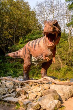 Bratislava, Slovakya - 28 Eylül 2016: Tyrannosaurus Rex, Bratislava, Slovakya'daki Dinopark'ta. Tyrannosaurus, coelurosaurian theropod dinozorcunun bir cinsine ait bir