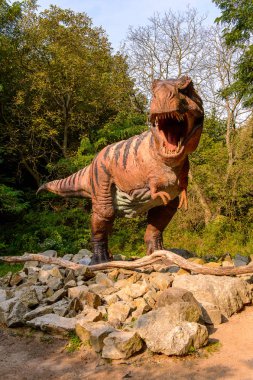 Bratislava, Slovakya - 28 Eylül 2016: Tyrannosaurus Rex, Bratislava, Slovakya'daki Dinopark'ta. Tyrannosaurus, coelurosaurian theropod dinozorcunun bir cinsine ait bir