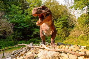 Bratislava, Slovakya - 28 Eylül 2016: Tyrannosaurus Rex, Bratislava, Slovakya'daki Dinopark'ta. Tyrannosaurus, coelurosaurian theropod dinozorcunun bir cinsine ait bir