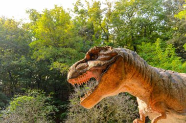 Bratislava, Slovakya - 28 Eylül 2016: Tyrannosaurus Rex, Bratislava, Slovakya'daki Dinopark'ta. Tyrannosaurus, coelurosaurian theropod dinozorcunun bir cinsine ait bir