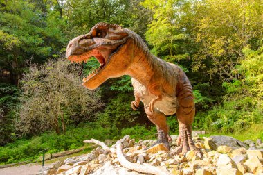 Bratislava, Slovakya - 28 Eylül 2016: Tyrannosaurus Rex, Bratislava, Slovakya'daki Dinopark'ta. Tyrannosaurus, coelurosaurian theropod dinozorcunun bir cinsine ait bir