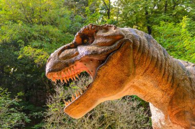 Bratislava, Slovakya - 28 Eylül 2016: Tyrannosaurus Rex, Bratislava, Slovakya'daki Dinopark'ta. Tyrannosaurus, coelurosaurian theropod dinozorcunun bir cinsine ait bir