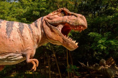 Bratislava, Slovakya - 28 Eylül 2016: Tyrannosaurus Rex, Bratislava, Slovakya'daki Dinopark'ta. Tyrannosaurus, coelurosaurian theropod dinozorcunun bir cinsine ait bir