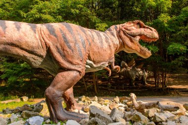 Bratislava, Slovakya - 28 Eylül 2016: Tyrannosaurus Rex, Bratislava, Slovakya'daki Dinopark'ta. Tyrannosaurus, coelurosaurian theropod dinozorcunun bir cinsine ait bir