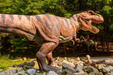 Bratislava, Slovakya - 28 Eylül 2016: Tyrannosaurus Rex, Bratislava, Slovakya'daki Dinopark'ta. Tyrannosaurus, coelurosaurian theropod dinozorcunun bir cinsine ait bir