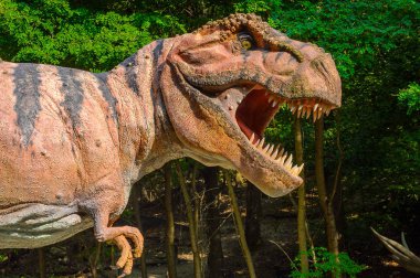 Bratislava, Slovakya - 28 Eylül 2016: Tyrannosaurus Rex, Bratislava, Slovakya'daki Dinopark'ta. Tyrannosaurus, coelurosaurian theropod dinozorcunun bir cinsine ait bir