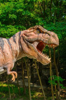 Bratislava, Slovakya - 28 Eylül 2016: Tyrannosaurus Rex, Bratislava, Slovakya'daki Dinopark'ta. Tyrannosaurus, coelurosaurian theropod dinozorcunun bir cinsine ait bir