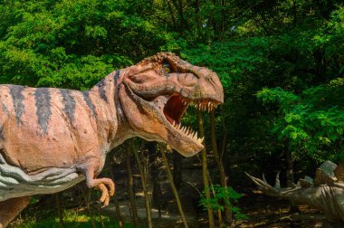 Bratislava, Slovakya - 28 Eylül 2016: Tyrannosaurus Rex, Bratislava, Slovakya'daki Dinopark'ta. Tyrannosaurus, coelurosaurian theropod dinozorcunun bir cinsine ait bir