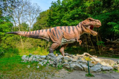 Bratislava, Slovakya - 28 Eylül 2016: Tyrannosaurus Rex, Bratislava, Slovakya'daki Dinopark'ta. Tyrannosaurus, coelurosaurian theropod dinozorcunun bir cinsine ait bir