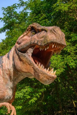 Bratislava, Slovakya - 28 Eylül 2016: Tyrannosaurus Rex, Bratislava, Slovakya'daki Dinopark'ta. Tyrannosaurus, coelurosaurian theropod dinozorcunun bir cinsine ait bir