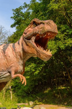 Bratislava, Slovakya - 28 Eylül 2016: Tyrannosaurus Rex, Bratislava, Slovakya'daki Dinopark'ta. Tyrannosaurus, coelurosaurian theropod dinozorcunun bir cinsine ait bir