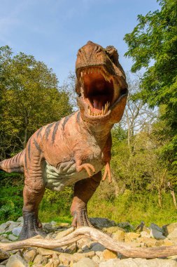 Bratislava, Slovakya - 28 Eylül 2016: Tyrannosaurus Rex, Bratislava, Slovakya'daki Dinopark'ta. Tyrannosaurus, coelurosaurian theropod dinozorcunun bir cinsine ait bir