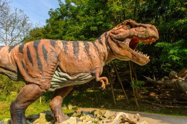 Bratislava, Slovakya - 28 Eylül 2016: Tyrannosaurus Rex, Bratislava, Slovakya'daki Dinopark'ta. Tyrannosaurus, coelurosaurian theropod dinozorcunun bir cinsine ait bir