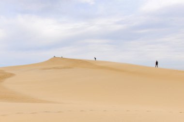 La Teste-De-Buch, Fransa -Eki 12, 2016: Pilat Dune (Grande Dune du Pilat), Avrupa'nın en yüksek kum ulağı.
