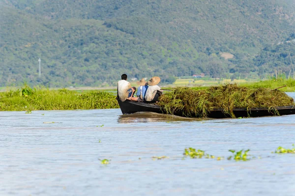 Inle Lake, Myanmar - 30 Ağustos 2016: Kimliği belirsiz Birmanyalılar, Shan Eyaleti'nin Taunggyi İlçesi'nin Nyaungshwe İlçesi'nde bulunan bir tatlı su gölü olan Inle Sap'ın üzerinde yelken açtılar.