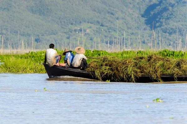 Inle Lake, Myanmar - 30 Ağustos 2016: Kimliği belirsiz Birmanyalılar, Shan Eyaleti'nin Taunggyi İlçesi'nin Nyaungshwe İlçesi'nde bulunan bir tatlı su gölü olan Inle Sap'ın üzerinde yelken açtılar.