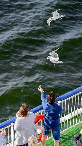 芬兰赫尔辛基 2016年9月12日 不明身份的人从波罗的海的巡洋舰上喂海鸥 有趣的时间经过游客 — 图库照片