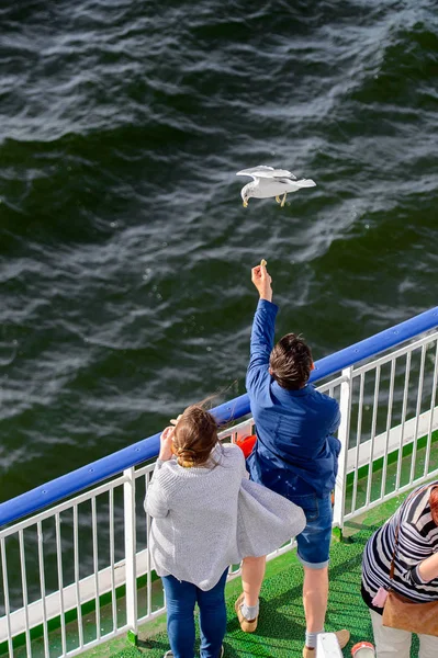 Helsinki Finland Sep 2016 Unidentified People Feed Seagulls Cruiser Baltic — Stock Photo, Image