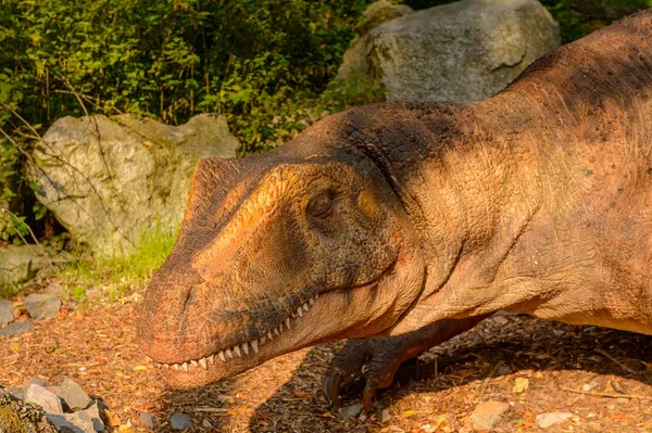 Pozsony Bratislava Szlovákia Sep 2016 Allosaurus Dinopark Pozsony Bratislava Szlovákia — Stock Fotó