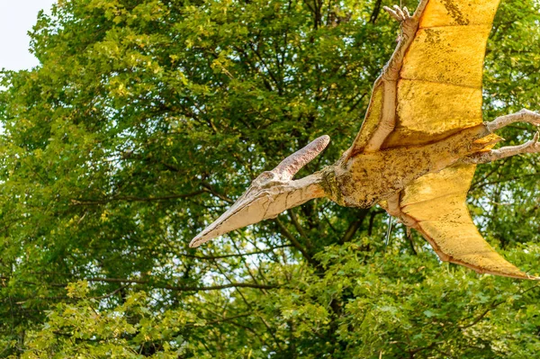 Bratislava Slovakien Sep 2016 Pterodactyls Dinopark Bratislava Slovakien Populäraste Sevärdheterna — Stockfoto