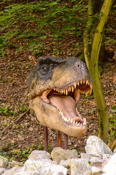 Pozsony Szlovákia Szeptember 2016 Tyrannosaurus Rex Fej Dinopark Pozsonyban Szlovákiában — Stock Fotó