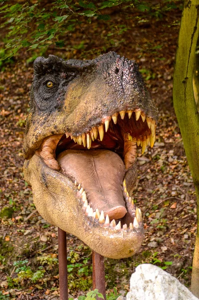 Pozsony Szlovákia Szeptember 2016 Tyrannosaurus Rex Fej Dinopark Pozsonyban Szlovákiában — Stock Fotó