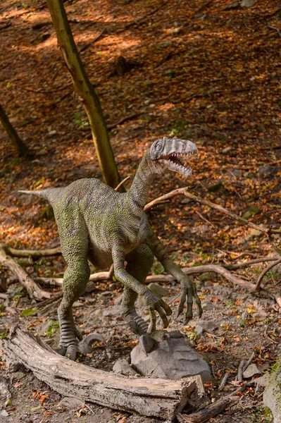 Bratislava, Slovakya - 28 Eylül 2016: Bratislava, Slovakya'nın popüler turistik yerlerinden biri olan Dinopark'ta Velociraptor.