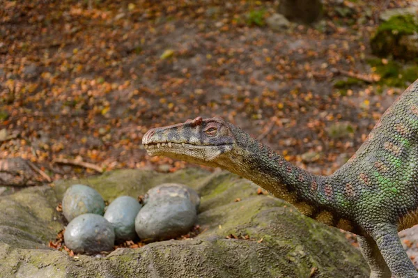 Bratislava, Slovakya - 28 Eylül 2016: Bratislava, Slovakya'nın popüler turistik yerlerinden biri olan Dinopark'ta Velociraptor.