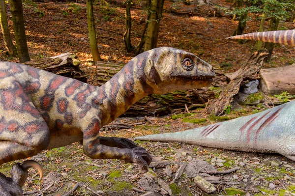 Bratislava, Slovakya - 28 Eylül 2016: Bratislava, Slovakya'nın popüler turistik yerlerinden biri olan Dinopark'ta Velociraptor.