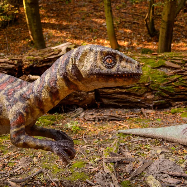 Bratislava, Slovakya - 28 Eylül 2016: Bratislava, Slovakya'nın popüler turistik yerlerinden biri olan Dinopark'ta Velociraptor.
