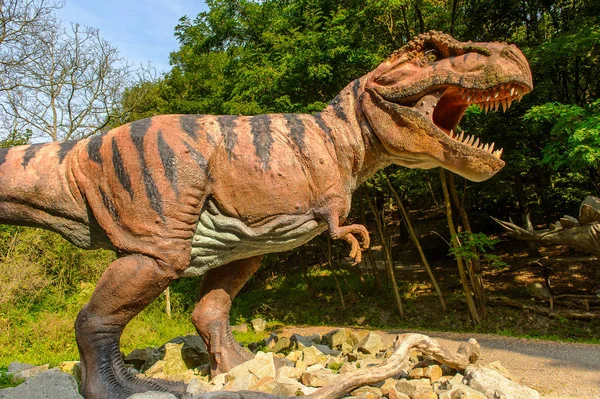 Bratislava, Slovakya - 28 Eylül 2016: Tyrannosaurus Rex, Bratislava, Slovakya'daki Dinopark'ta. Tyrannosaurus, coelurosaurian theropod dinozorcunun bir cinsine ait bir