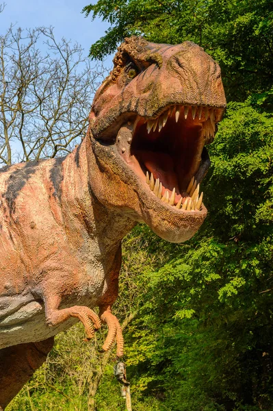 Bratislava Eslovaquia Sep 2016 Tiranosaurio Rex Dinopark Bratislava Eslovaquia Tyrannosaurus — Foto de Stock