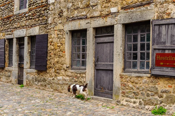 Perouges Francia Octubre 2016 Calle Estrecha Perouges Francia Una Ciudad — Foto de Stock