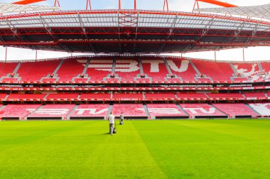 Lizbon, Portekiz - 17 Ekim 2016: Kimliği belirsiz adam, S.L. Benfica stadyumu Estadio da Luz'daki (Stadium of Light) çimleri kesiyor. Euro 2004 için inşa edilmiştir.
