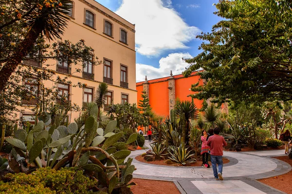 Cidade México Mex Ptu 2016 Plantas Quintal Palácio Nacional Sede — Fotografia de Stock