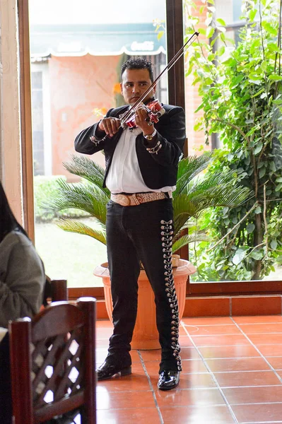 Mexique Mex Oct 2016 Mariachi Mexicain Non Identifié Fait Musique — Photo